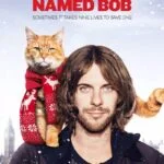 a street cat named bob izle