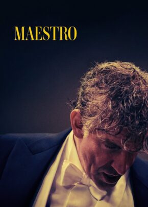 Maestro izle